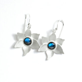 Etelä-Karjala maakuntakoru